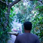 Pandan Wangi