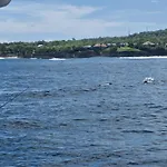 Dornice Guest House Nusa Lembongan