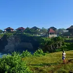 Island Cove Resort