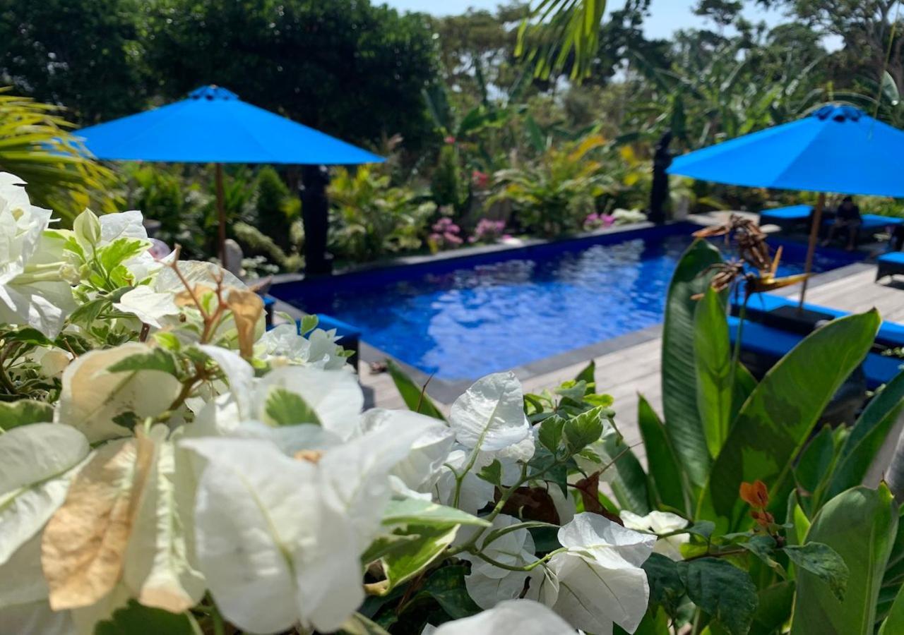 Guest house Tatak Bunut Ceningan Nusa Lembongan (Bali)