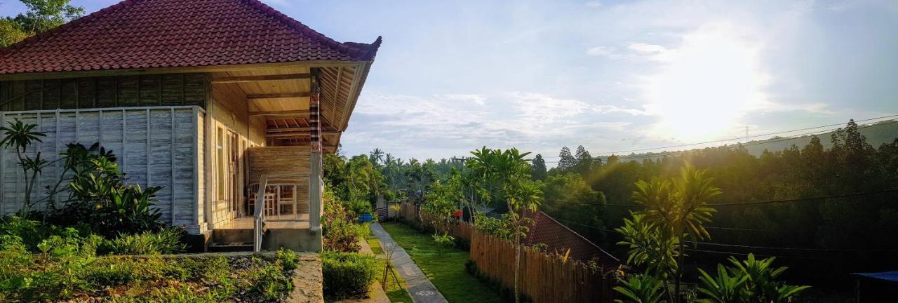 Guest house Mesari Hut 2*