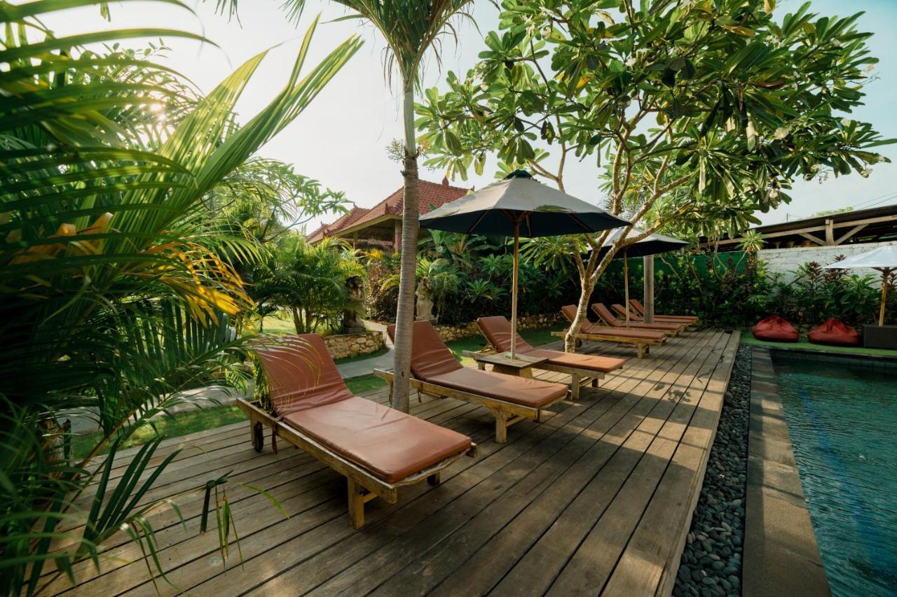 Guest house The Canda Mushroom