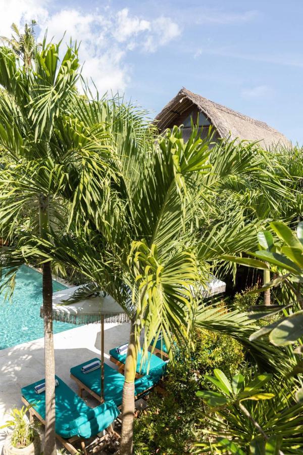 Tigerlillys Boutique 3*