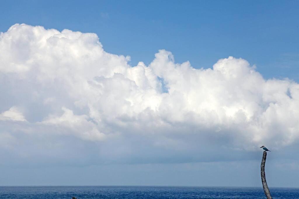 Lumba Lumba - Oceanfront & Spectacular View! Nusa Lembongan (Bali)