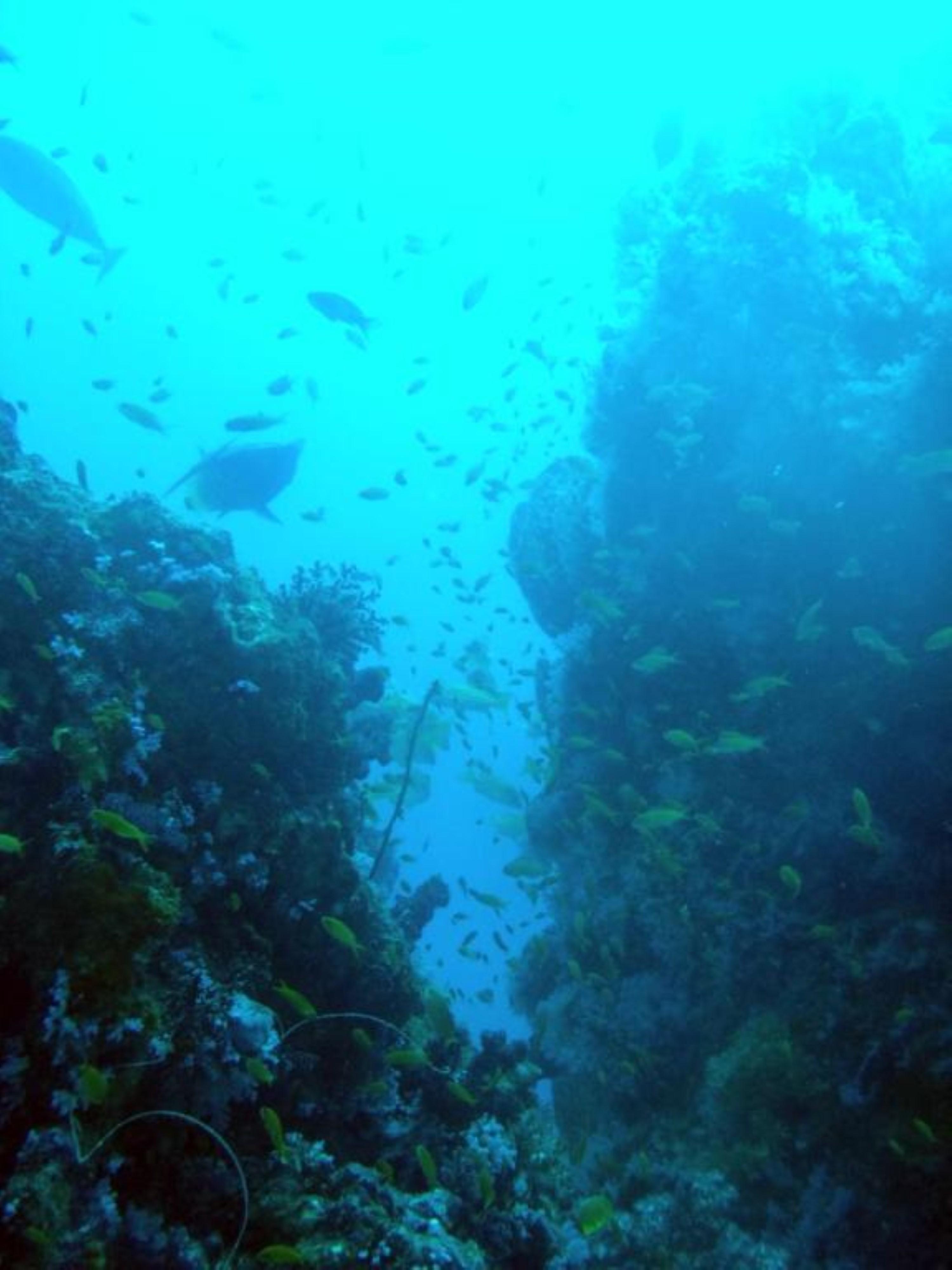 Wisma tamu Kawans Nusa Lembongan (Bali)