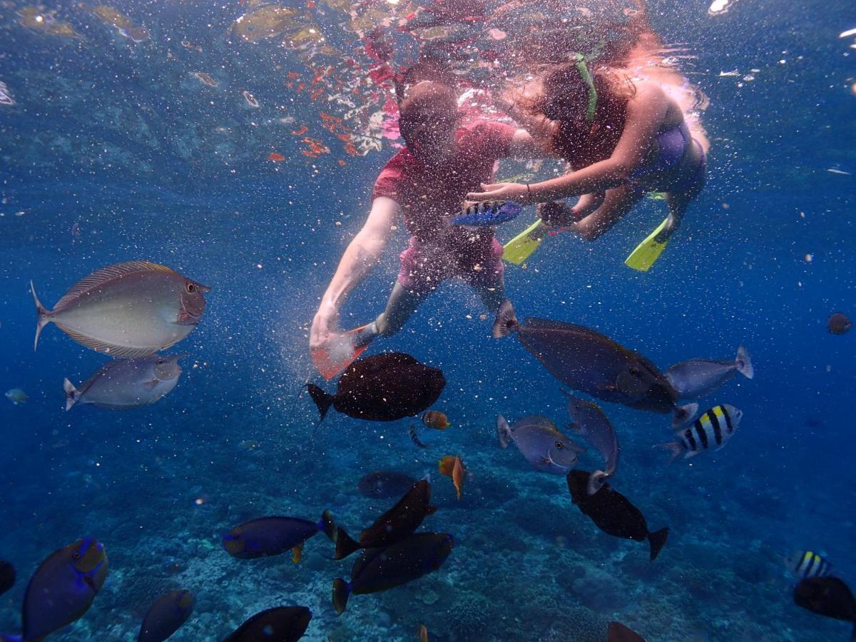 Homestay Pandan Wangi Nusa Lembongan (Bali)