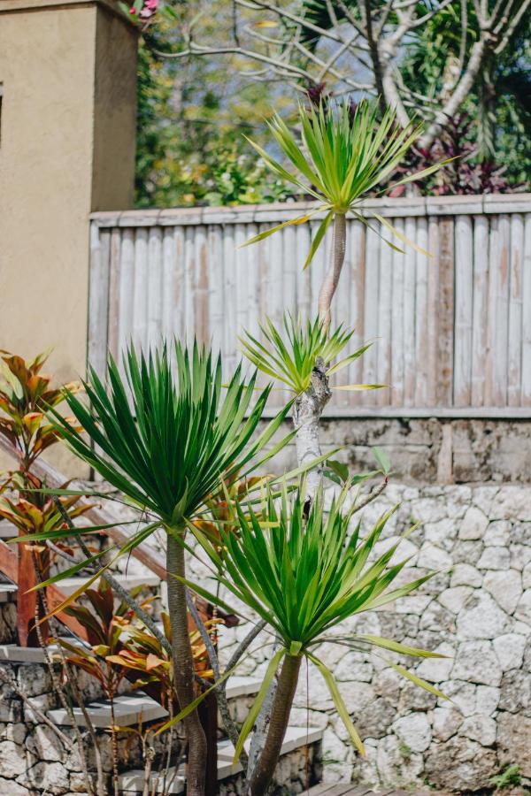 Inn Shrining Nusa Lembongan (Bali)