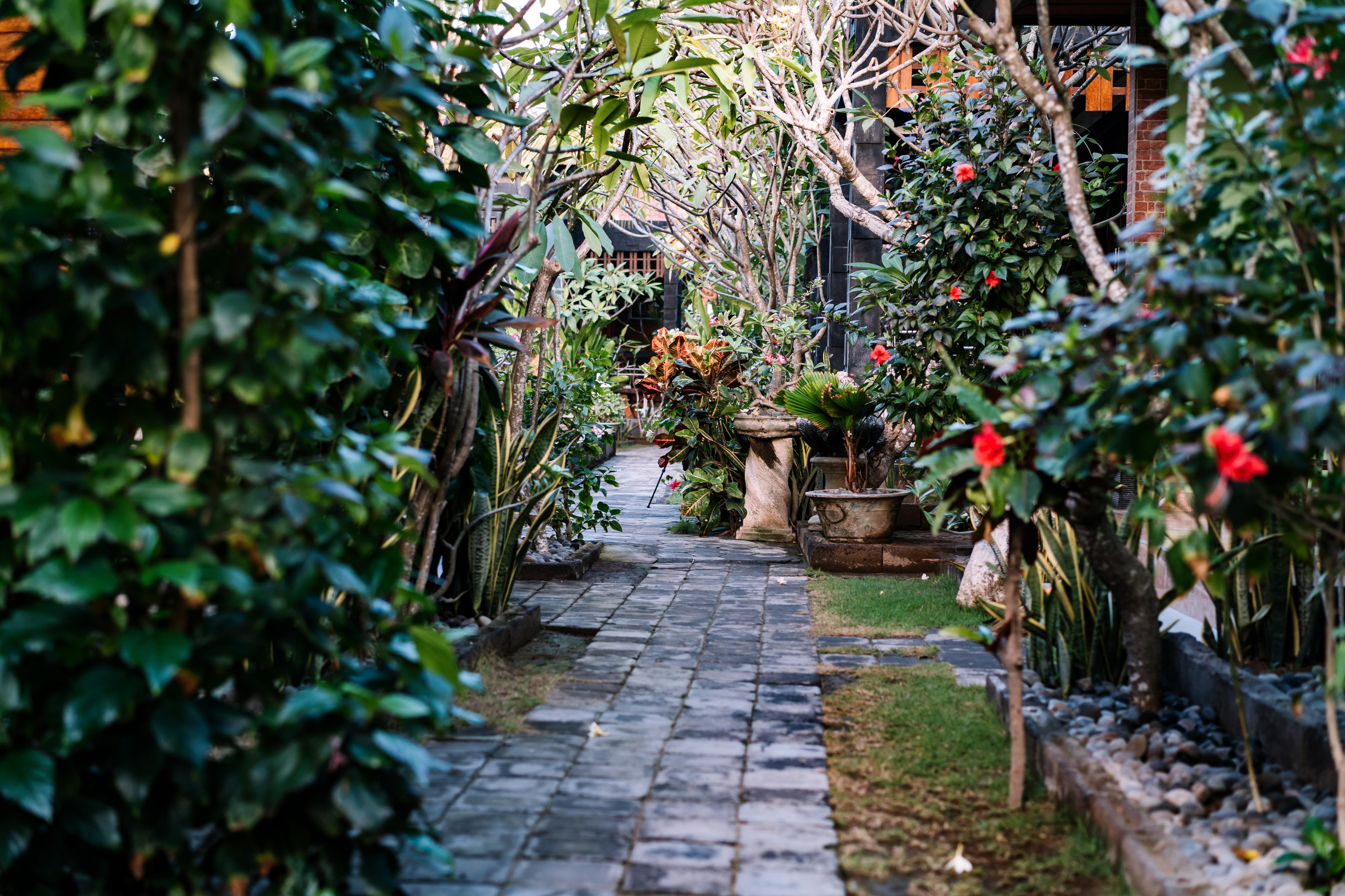 D And B Bungalow's By Dewizz Management 3* Nusa Lembongan (Bali)