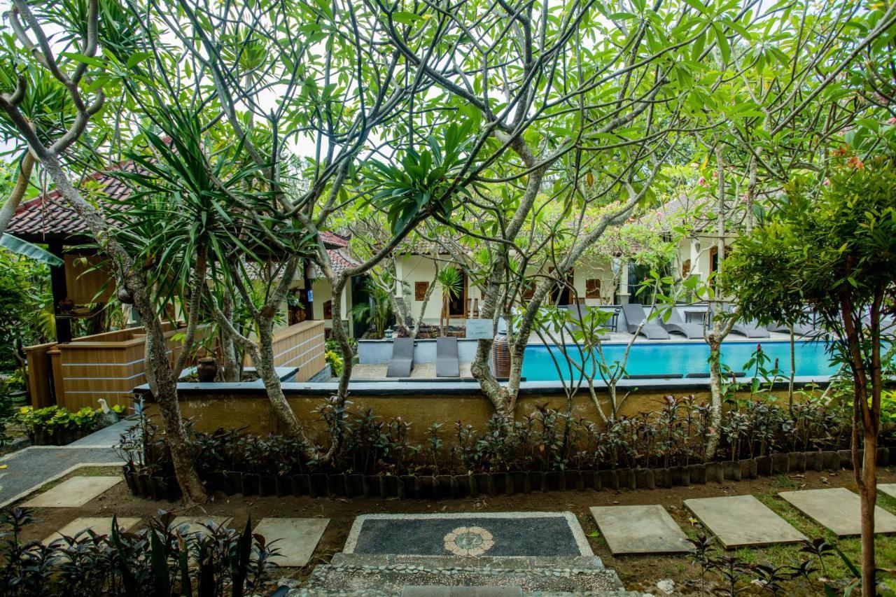 Hotel Tropical Garden By Tanis