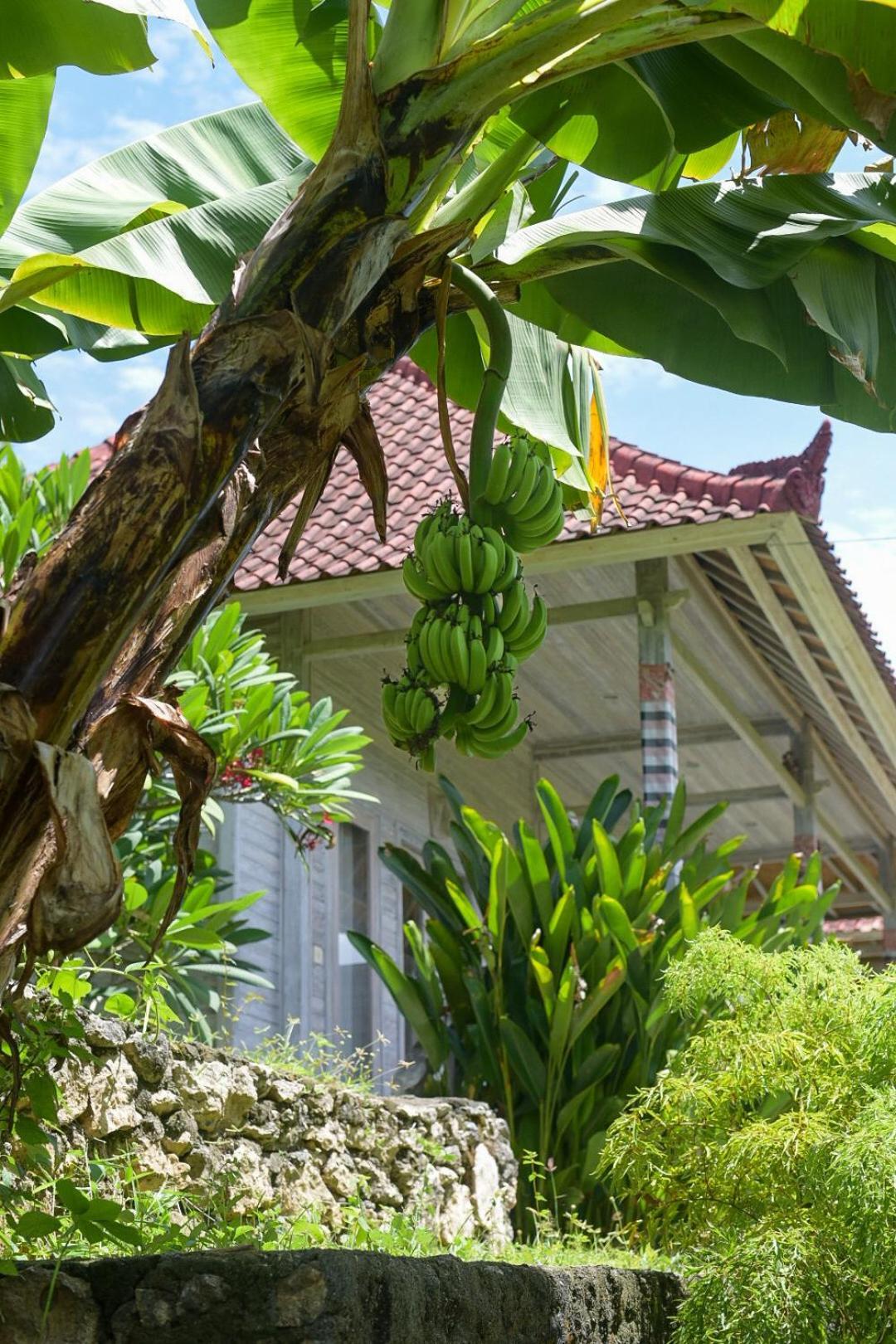 Mesari Hut Guest house 2*