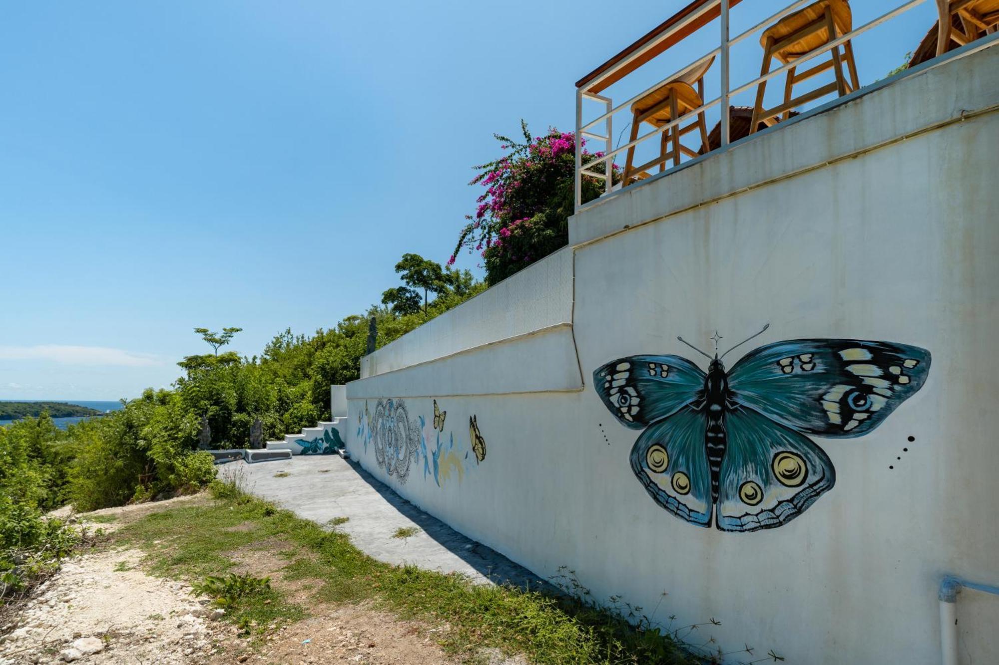 Butterfly Nusa Ceningan Nusa Lembongan (Bali)