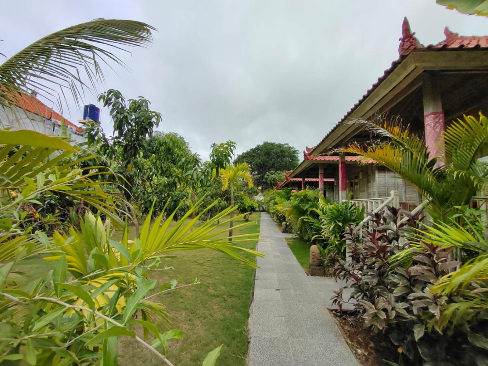 The Canda Mushroom Guest house Nusa Lembongan (Bali)