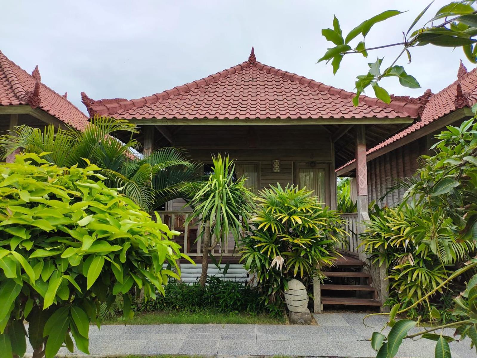 The Canda Mushroom Guest house