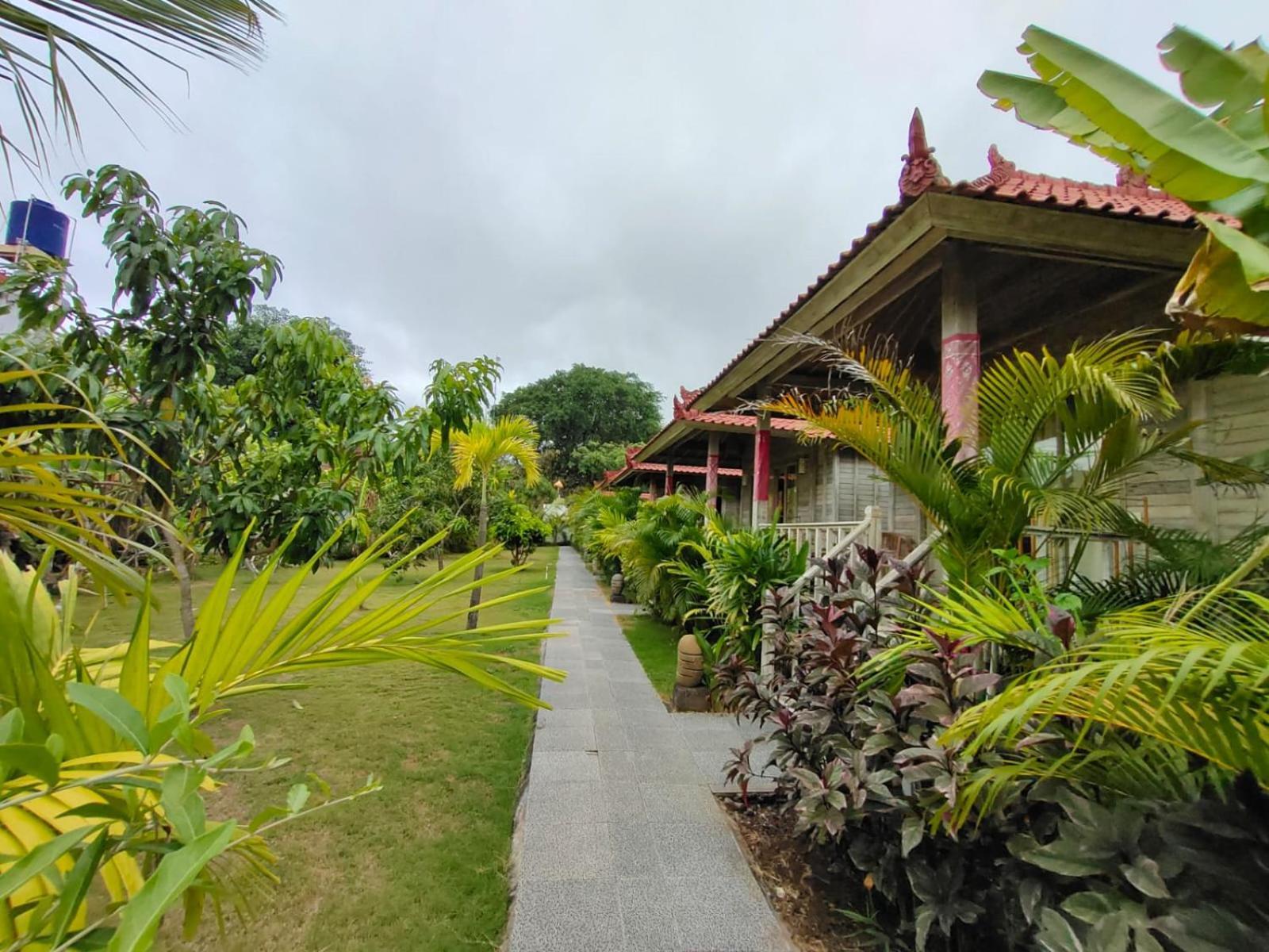The Canda Mushroom 3* Nusa Lembongan (Bali)