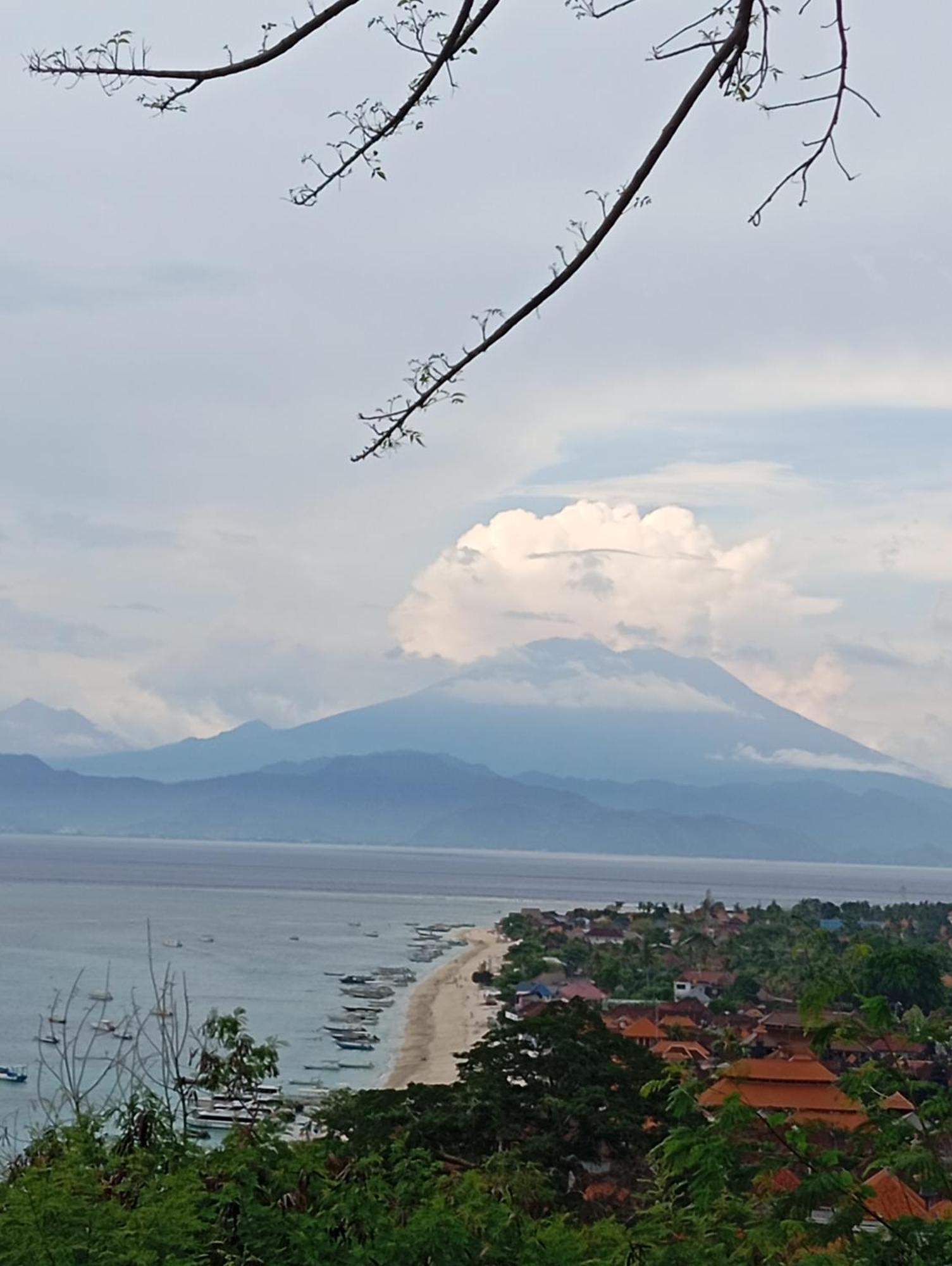 Homestay Belong