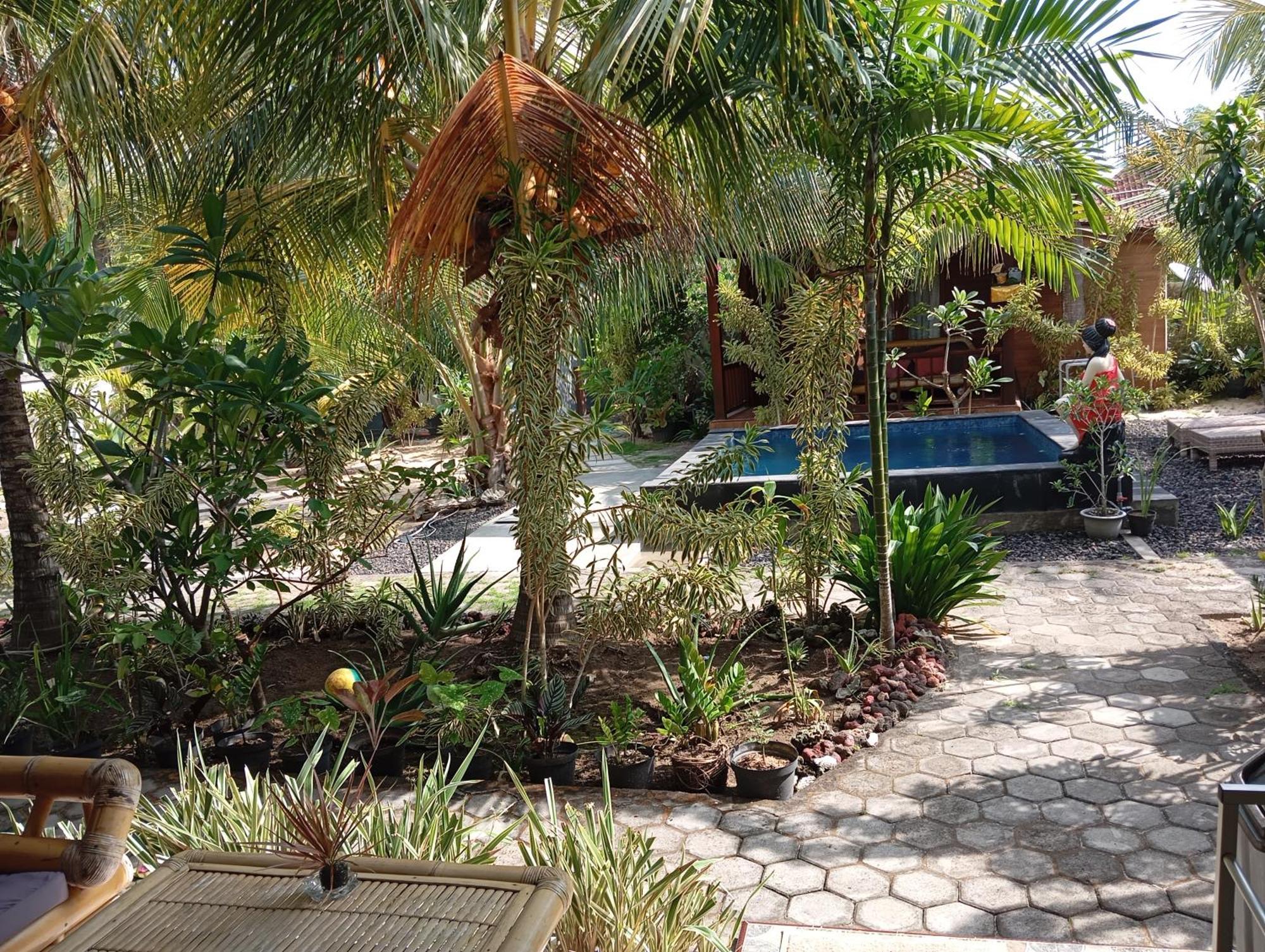 Belong Homestay