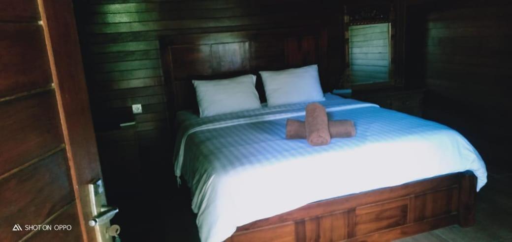 Homestay Belong