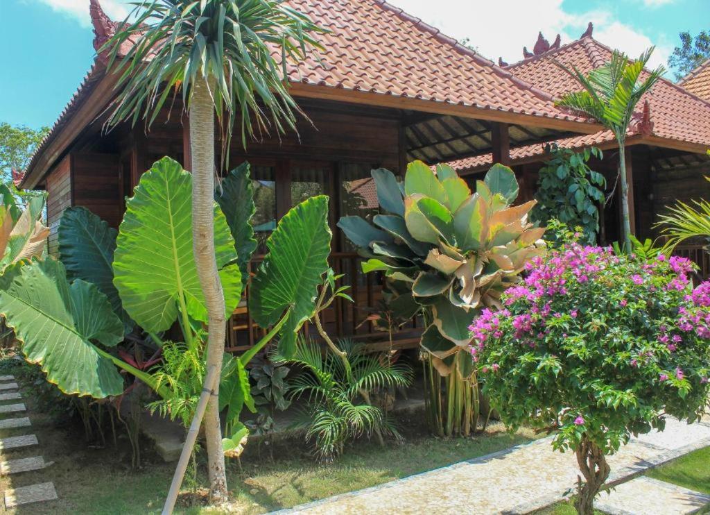 Guest house Pattri Dihati