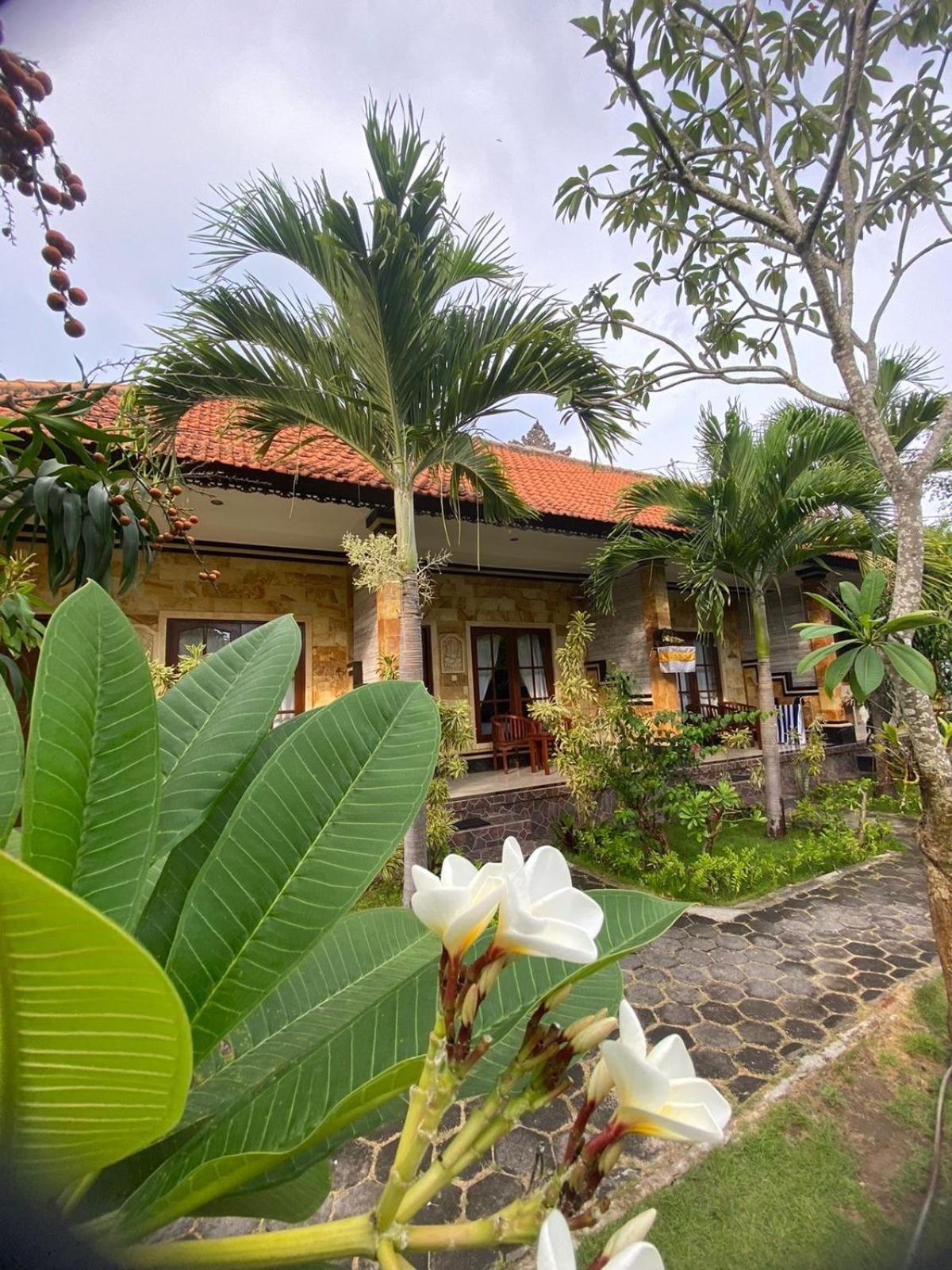 Wisma tamu Tiki Bar&more