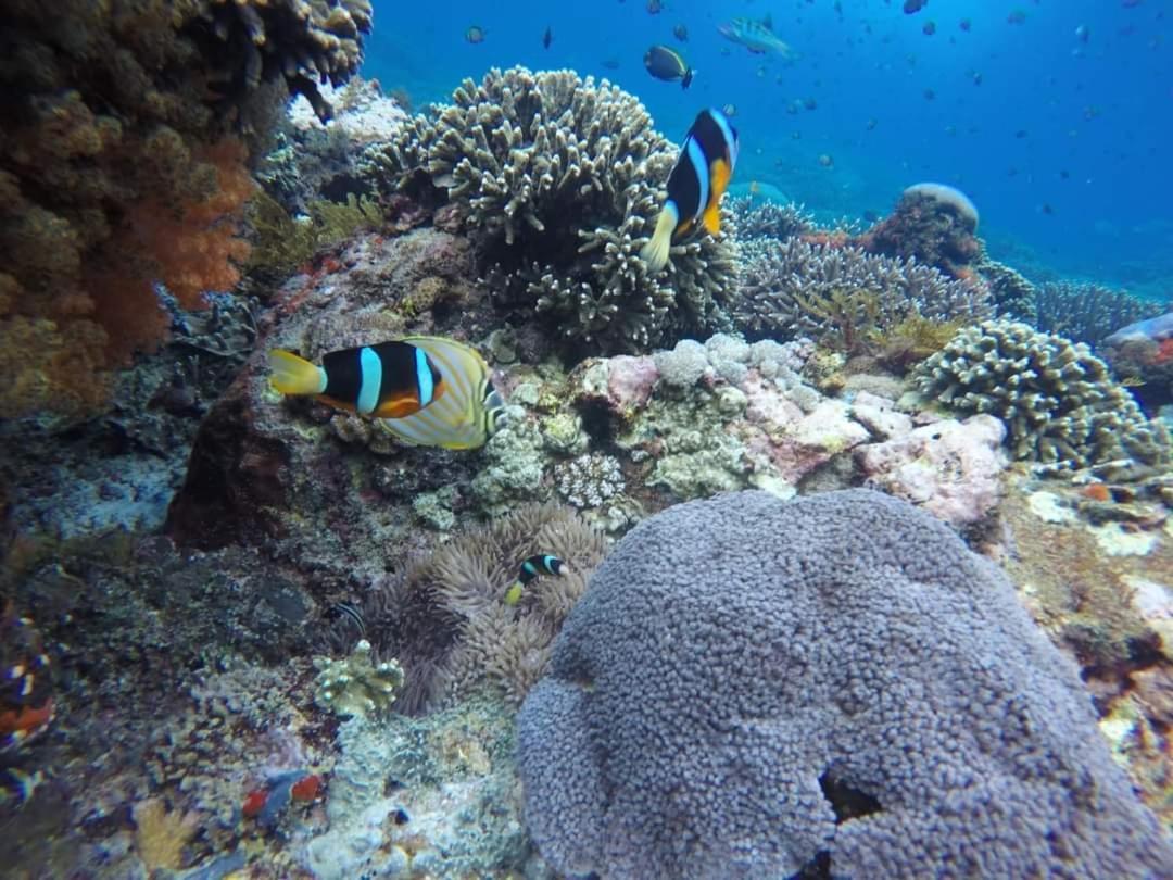 Allure Nusa Lembongan (Bali)