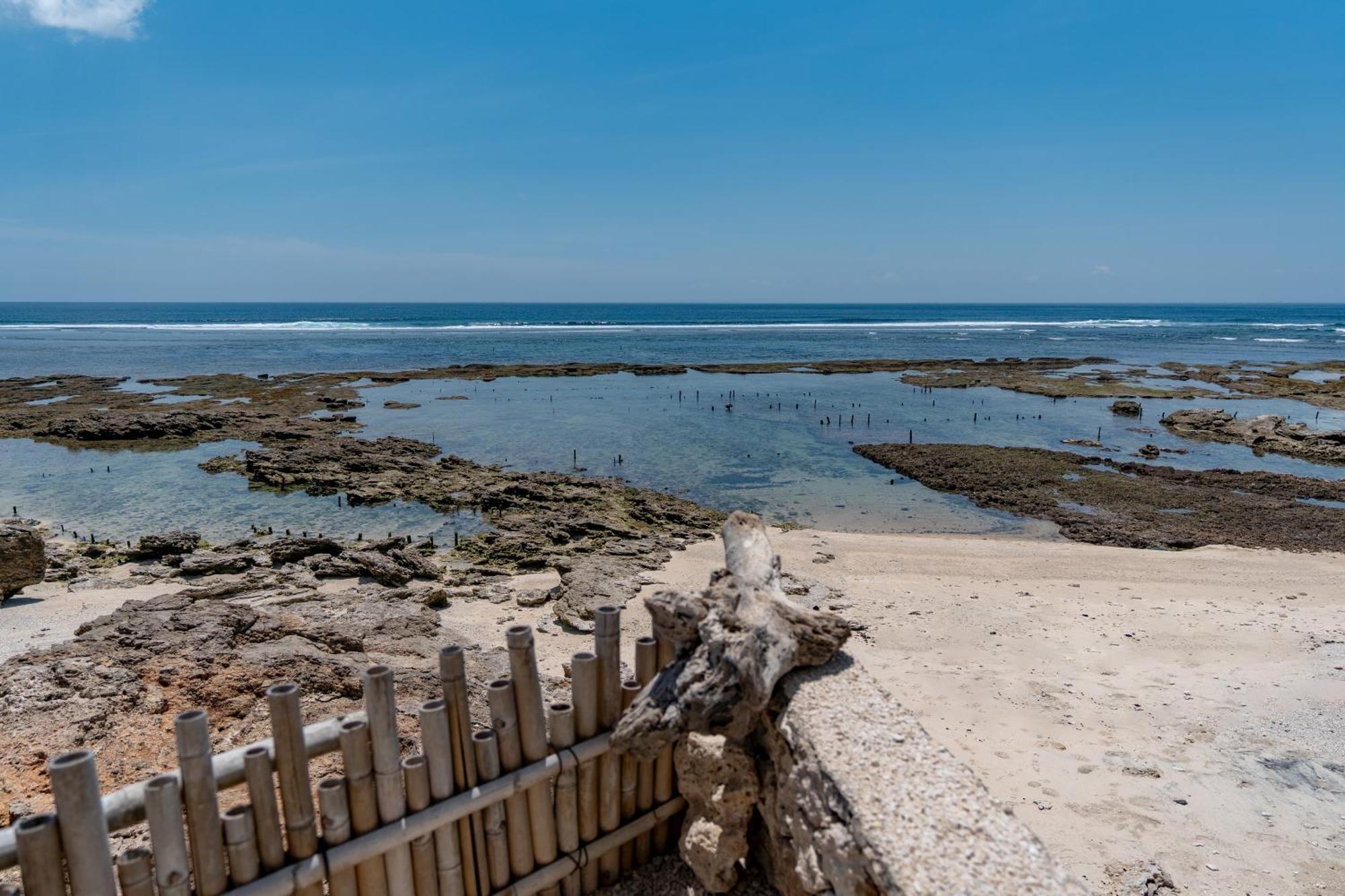 King Fish * Nusa Lembongan (Bali)