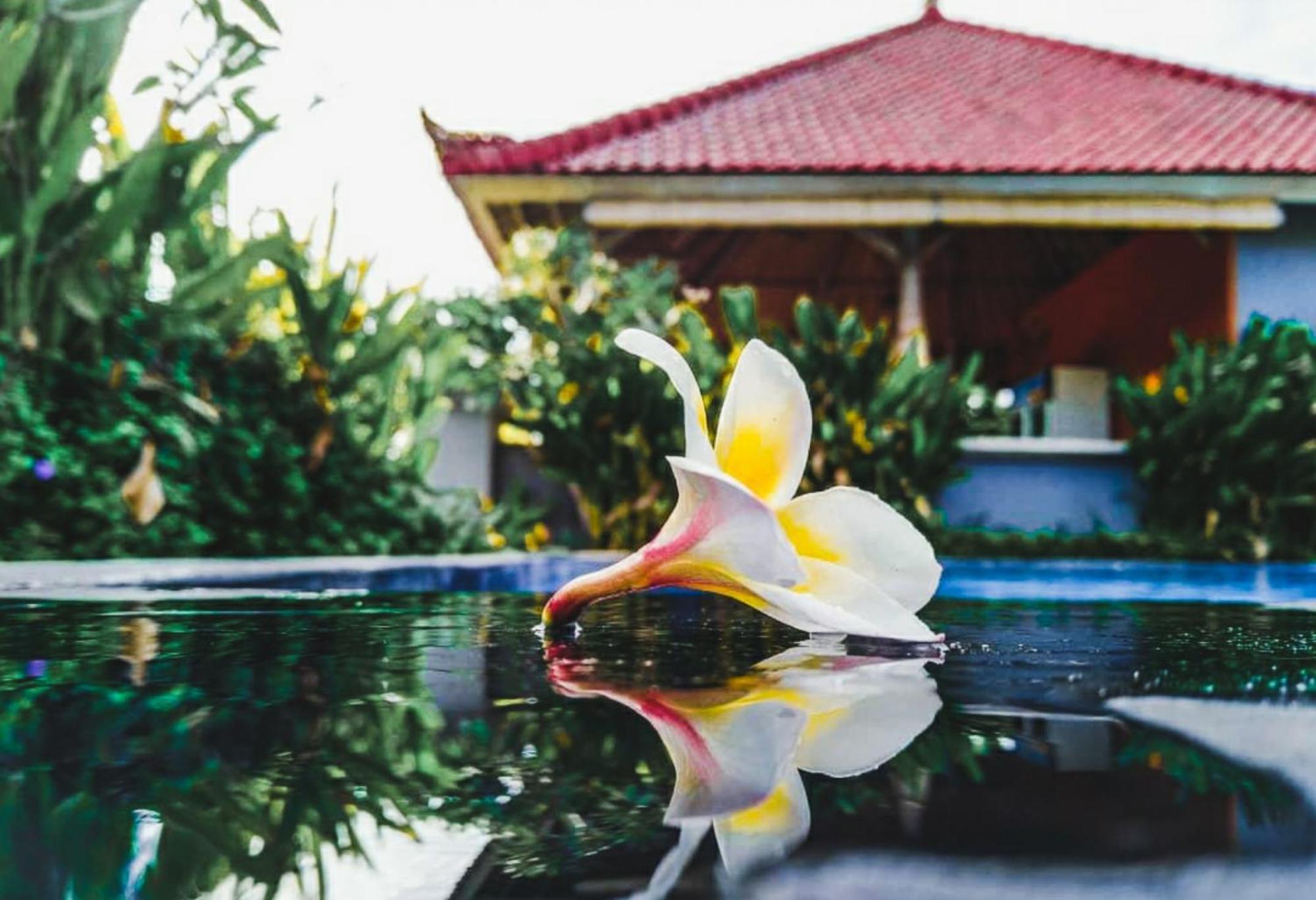 Homestay Hokita Nusa Lembongan (Bali)