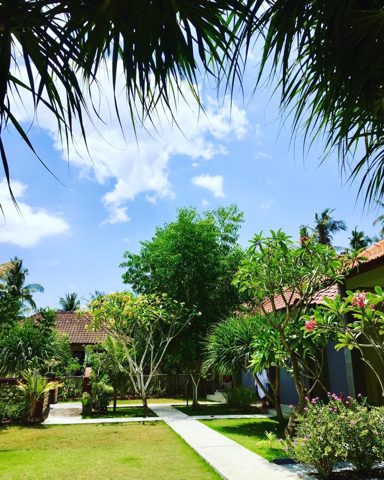 Guest house Maha Di Nusa *