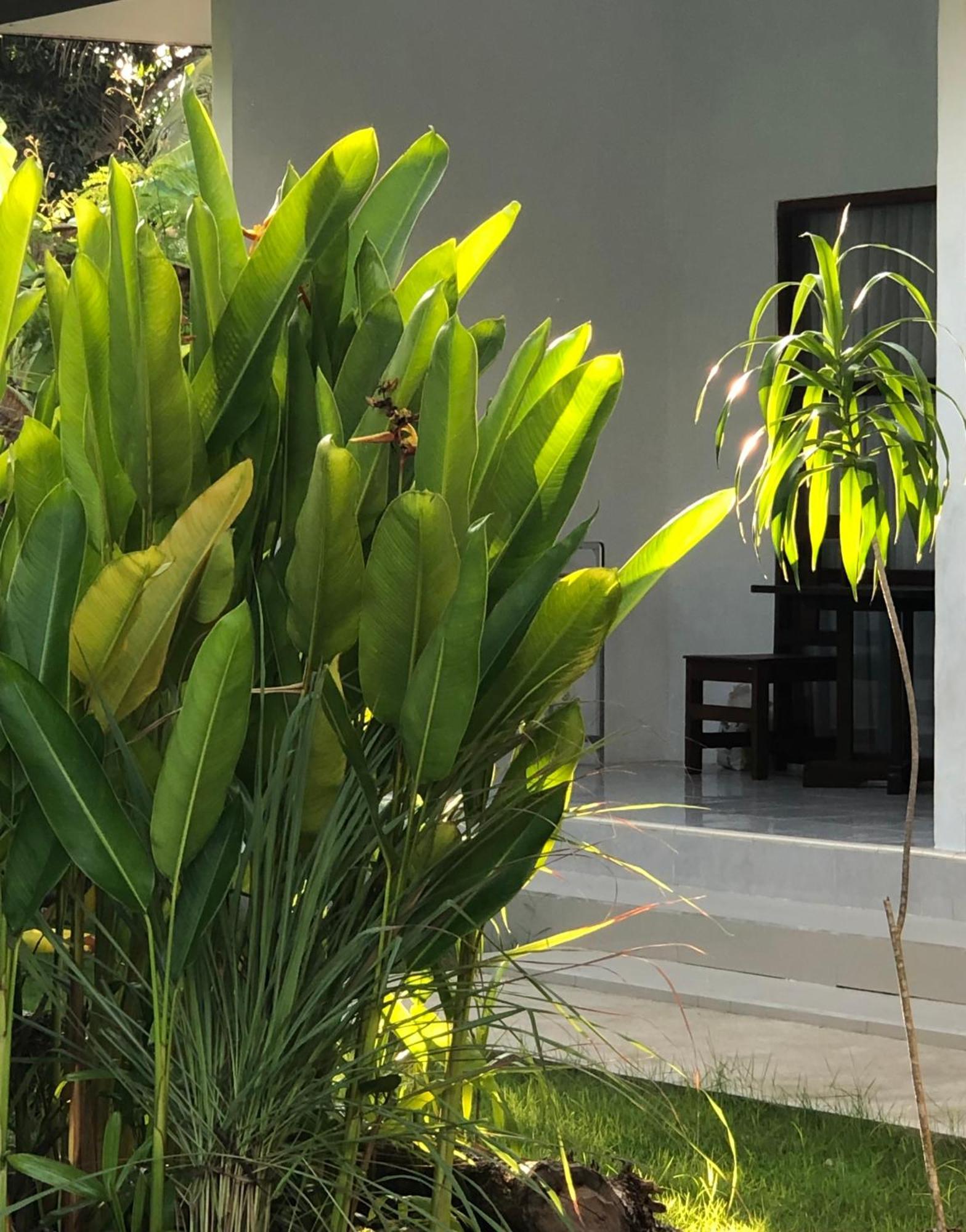 Guest house Maha Di Nusa Nusa Lembongan (Bali)