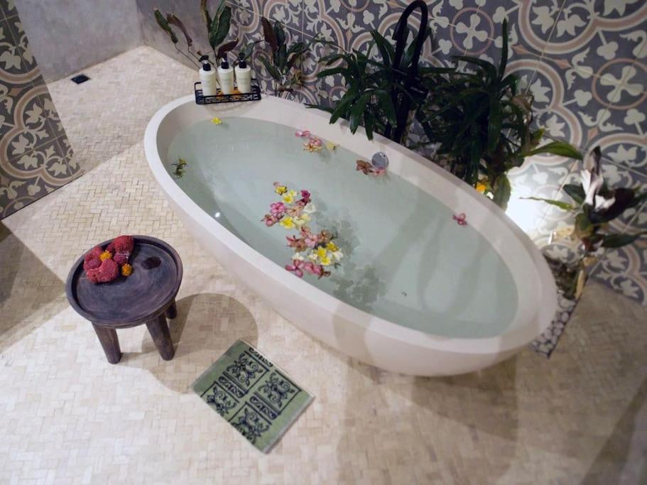 Villa Safari