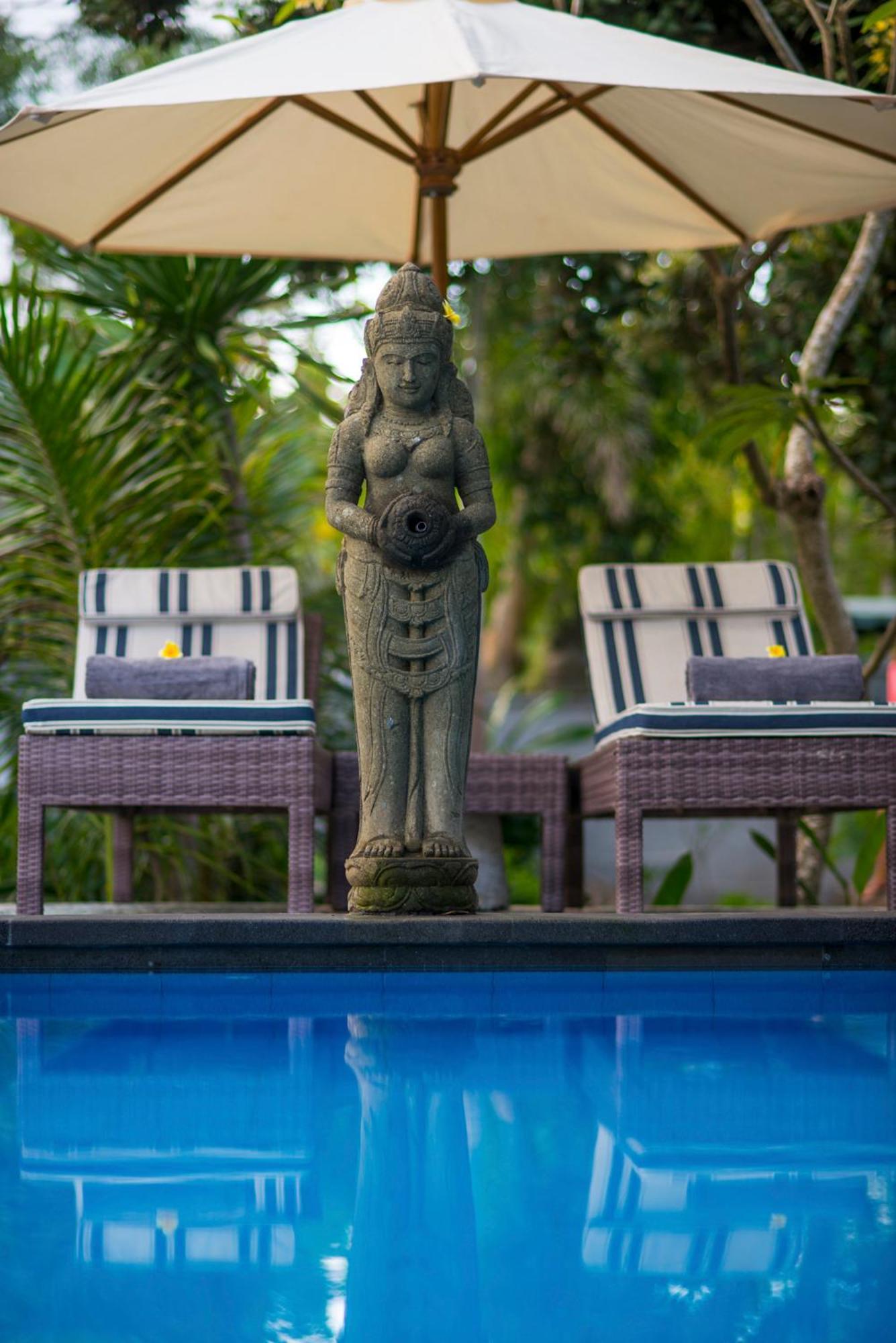 Komodo Garden