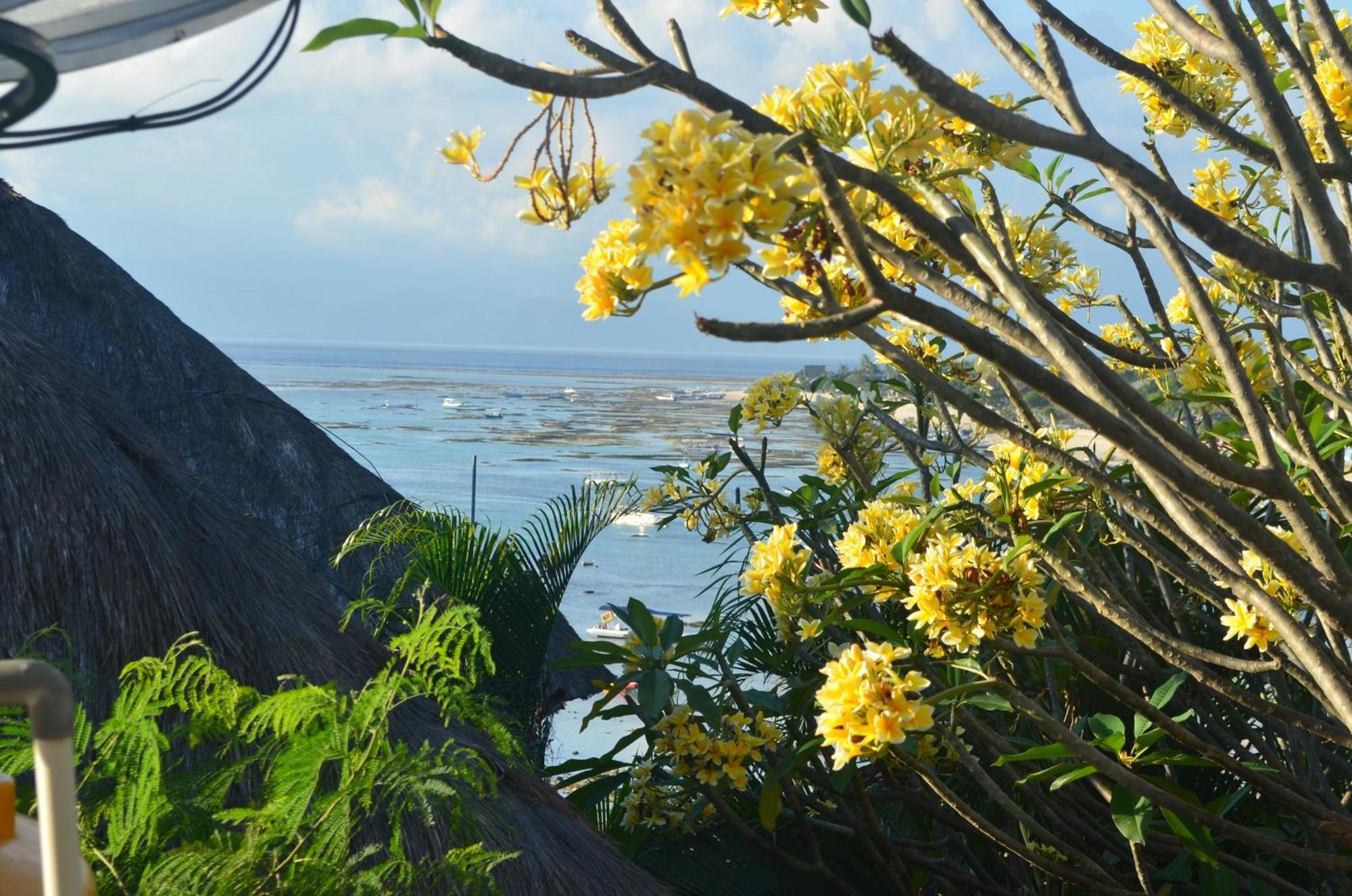 Aqua Nusa - Luxury Villa *