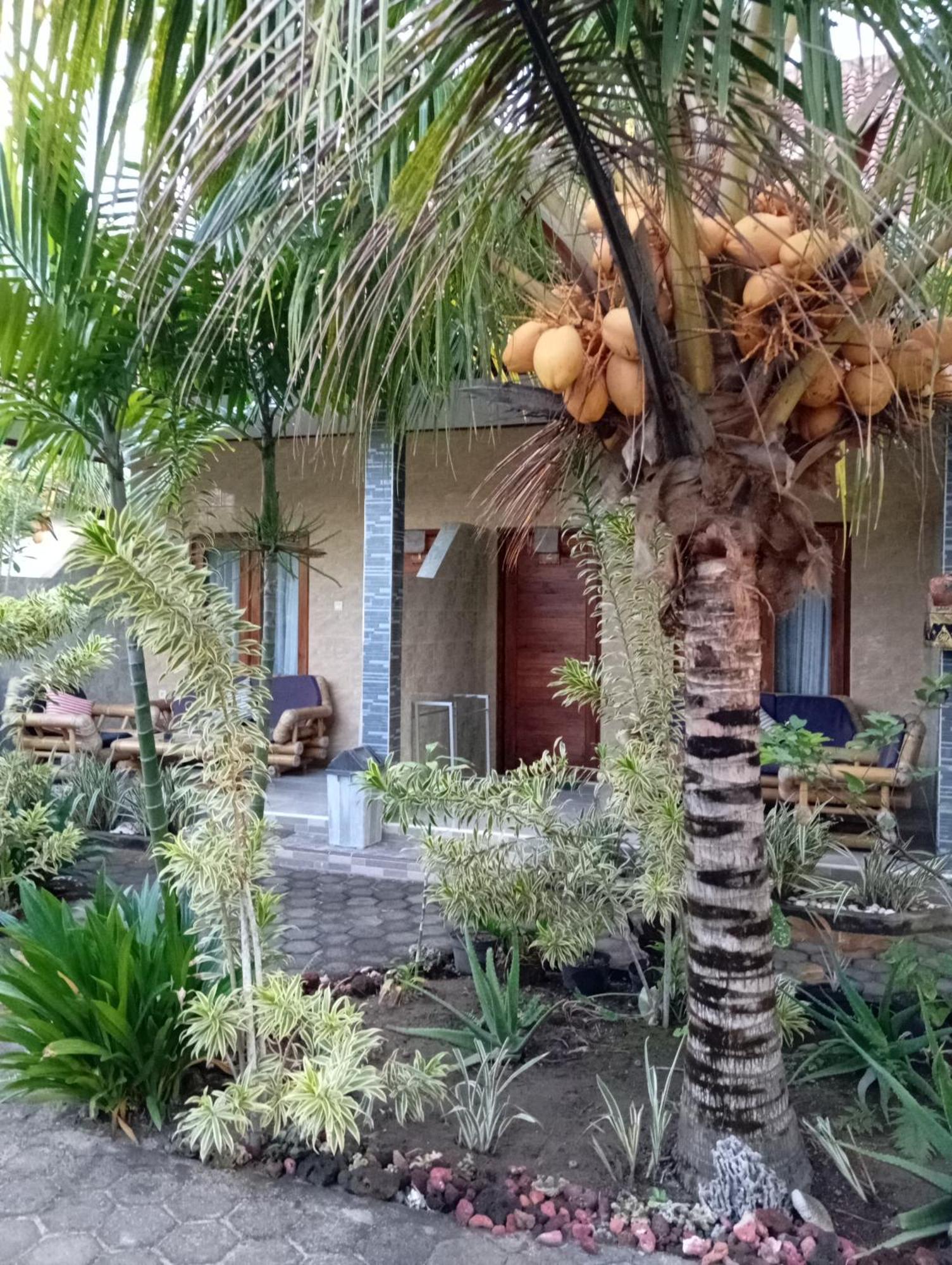 Belong * Nusa Lembongan (Bali)