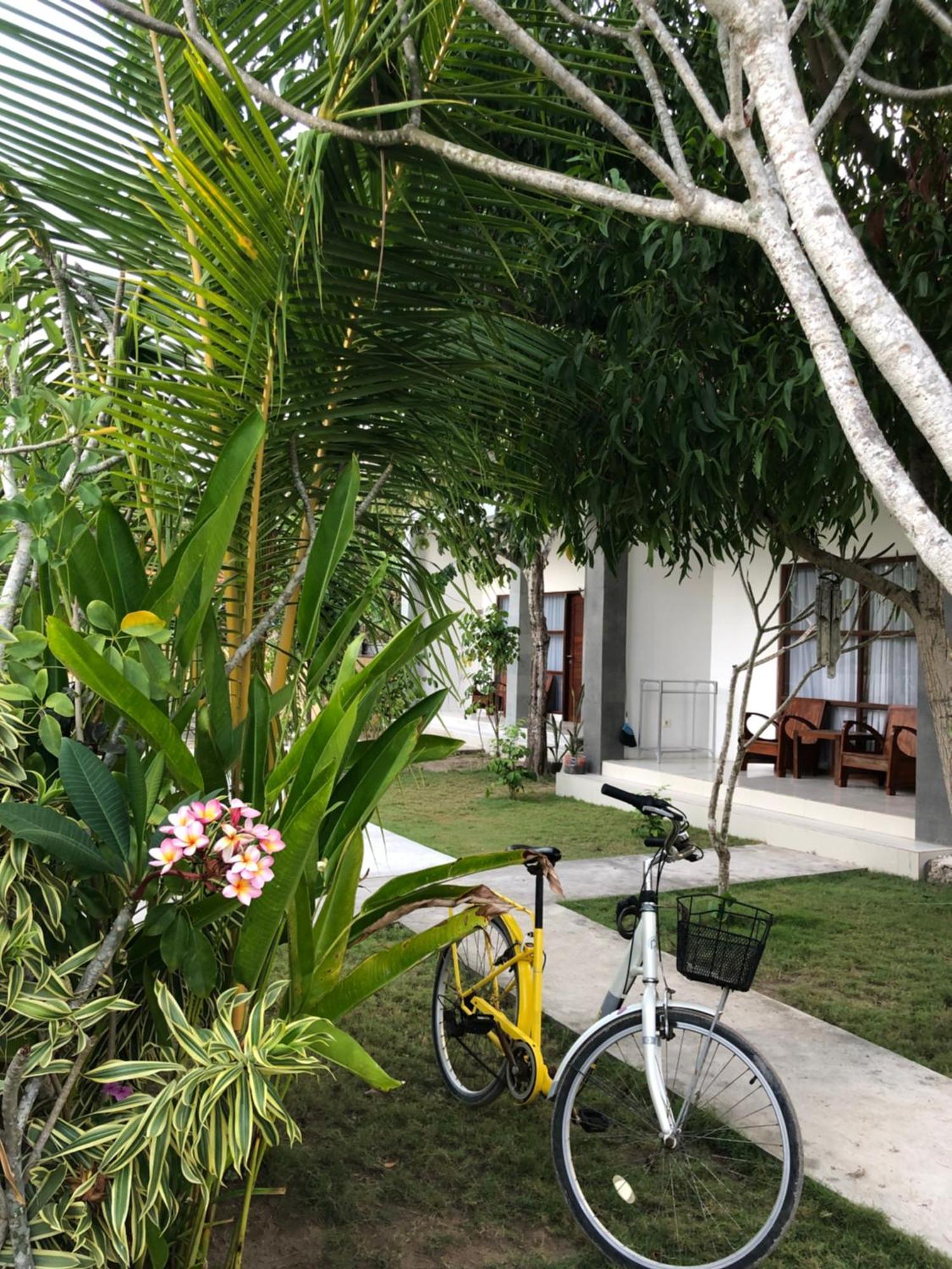 Maha Di Nusa * Nusa Lembongan (Bali)