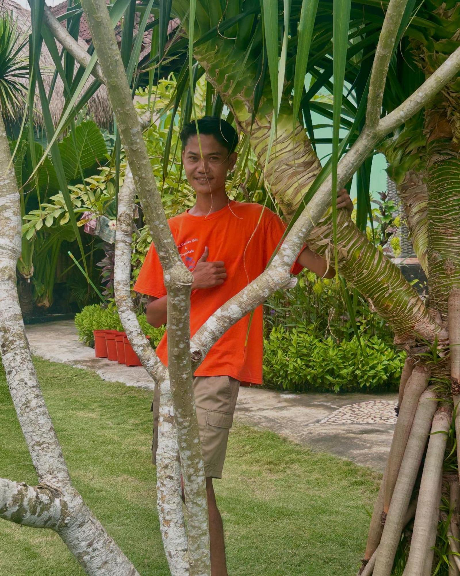 Island Garden Huts Lembongan 3*