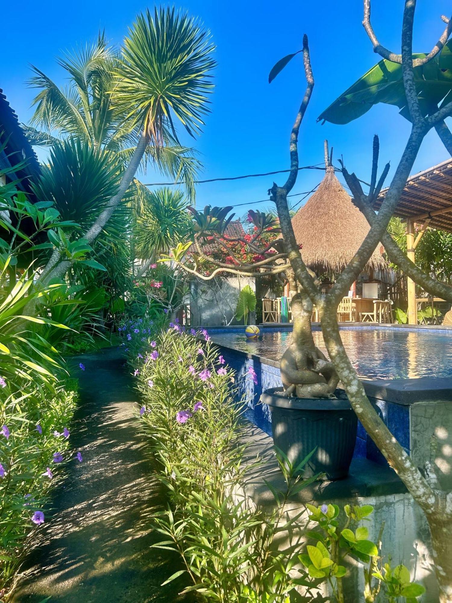 Island Garden Huts Lembongan Bed & Breakfast Nusa Lembongan (Bali)