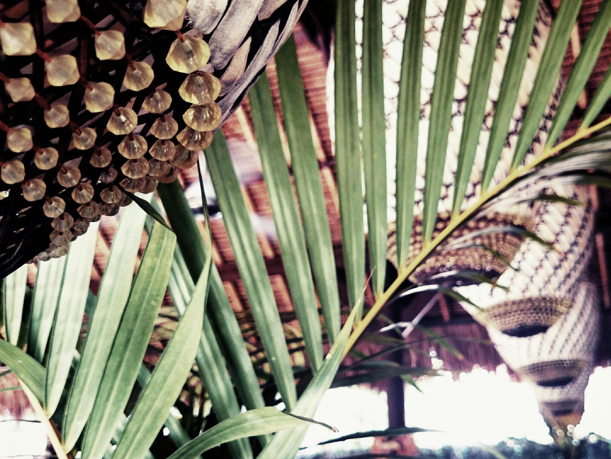 Tigerlillys Boutique Hotel
