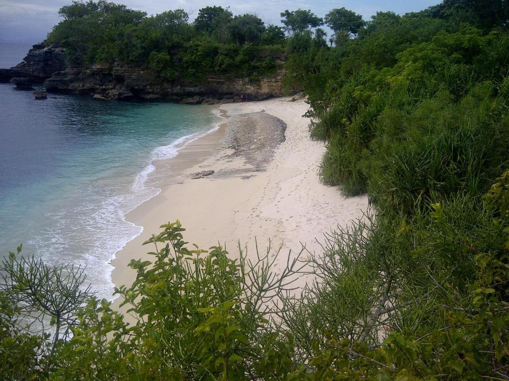 Nanuk's Holiday park Nusa Lembongan (Bali)