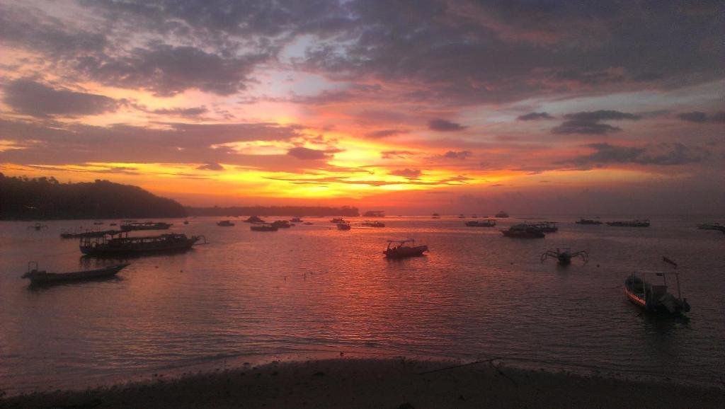 Wisma tamu Made Nusa Lembongan (Bali)