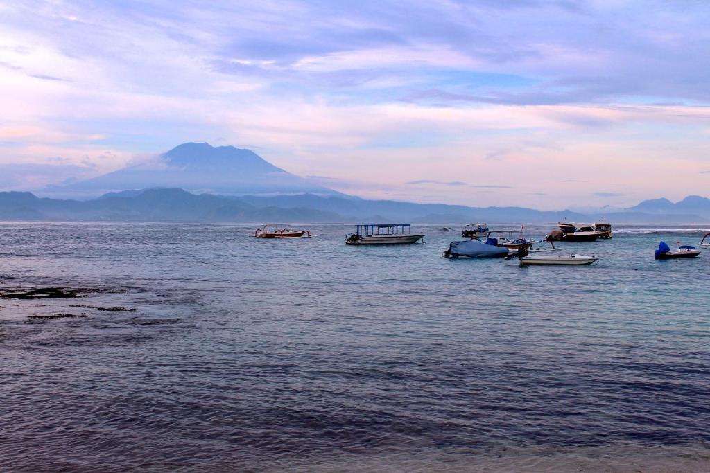 Holiday park Molamola House Nusa Lembongan (Bali)