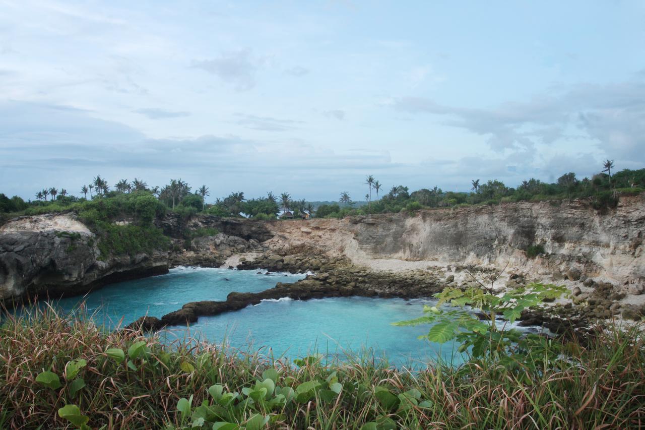 Walet's Paradise Wisma tamu