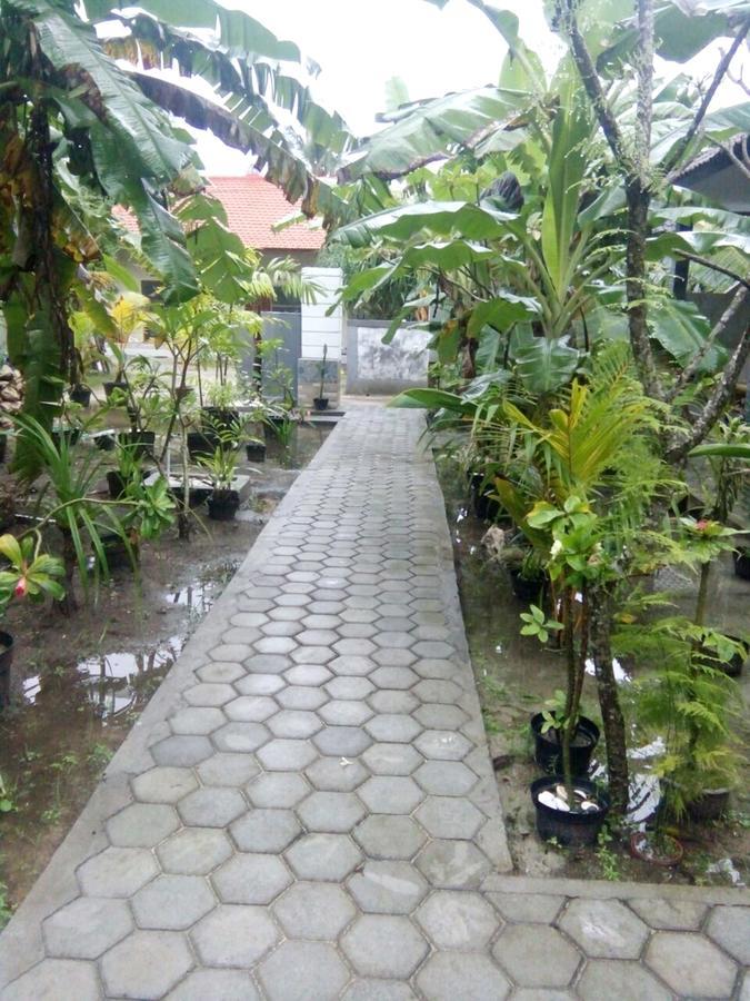 Belongs Beach Bungalow *