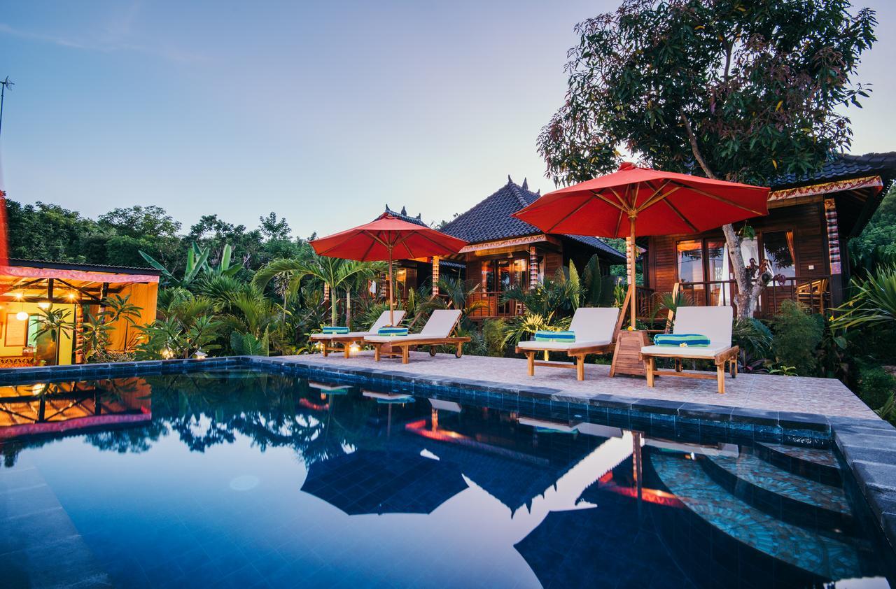 Dimol Garden 3*