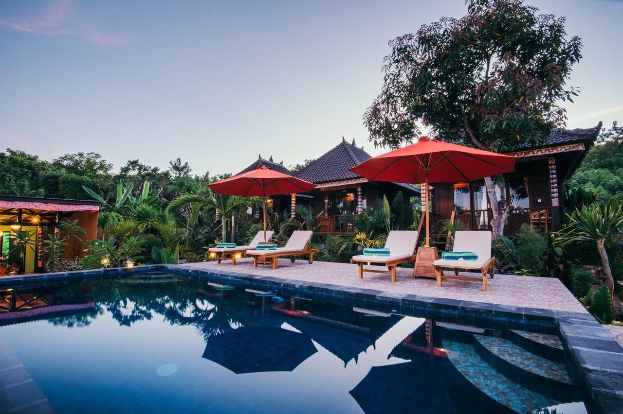 Dimol Garden 3*