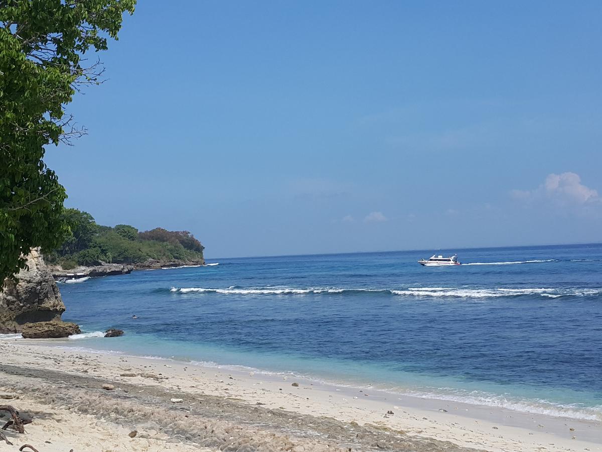 Nanuk's 3*