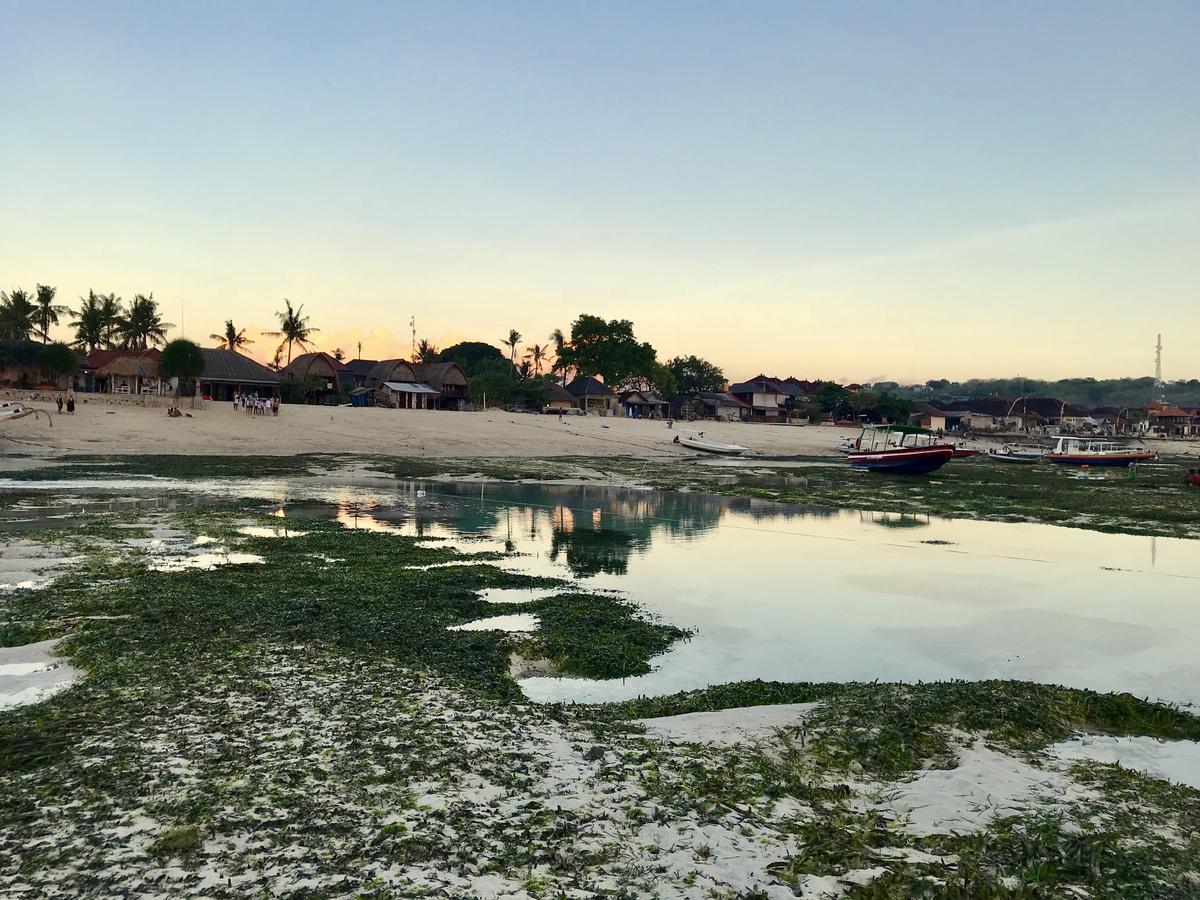 Tropical Taman liburan Nusa Lembongan (Bali)