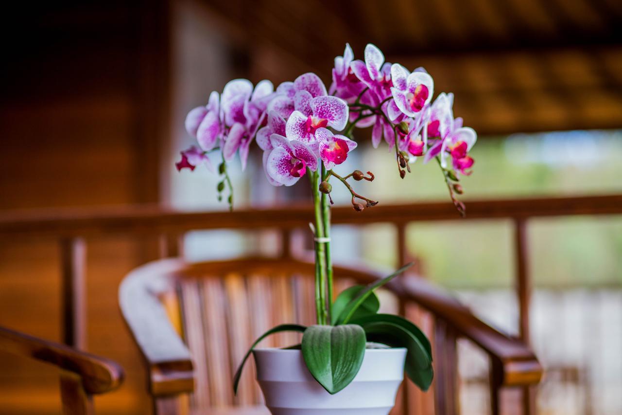 Samanta Huts Taman liburan 3*