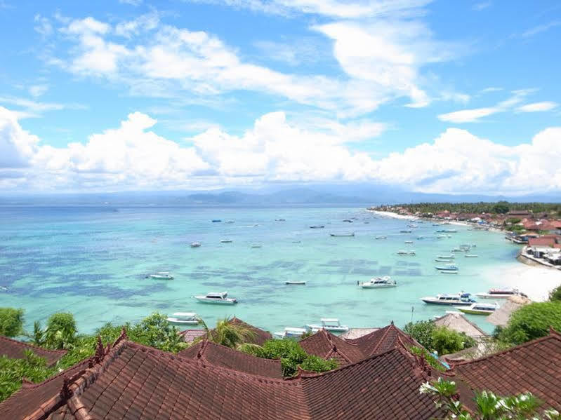 Reef