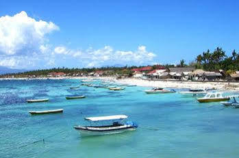 Reef Nusa Lembongan (Bali)