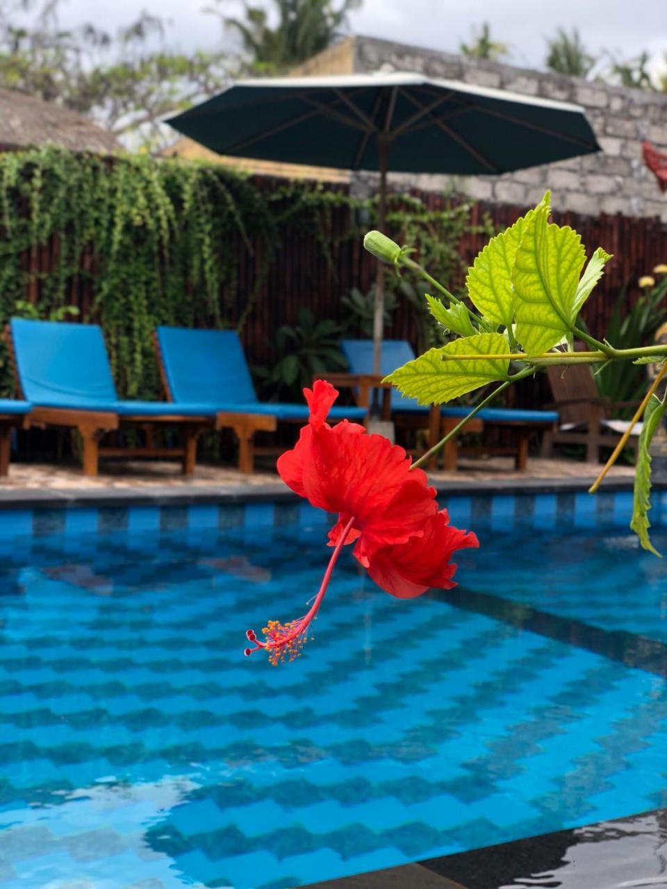 Tropical Taman liburan Nusa Lembongan (Bali)