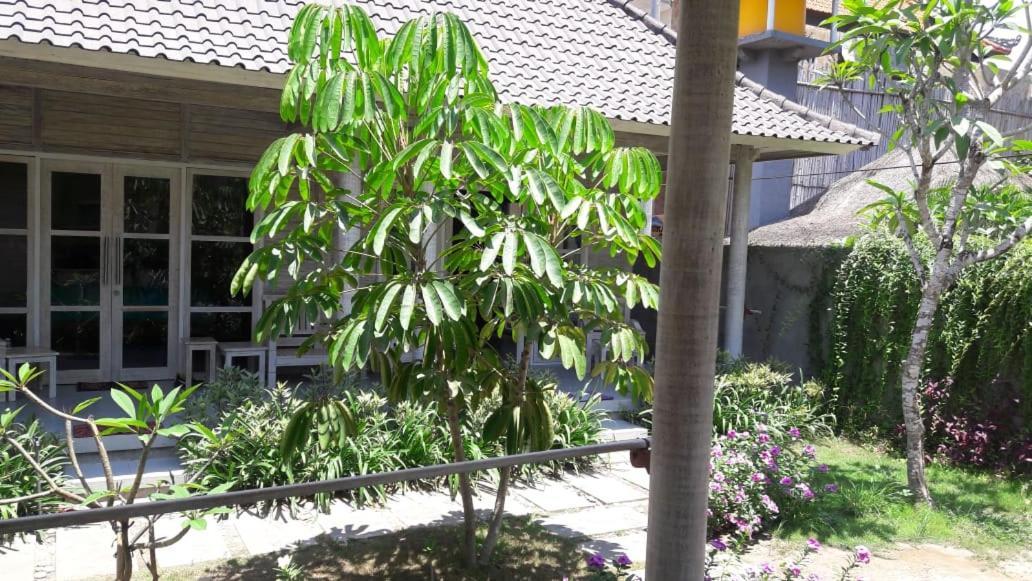 Guest house Vista Huts Nusa Lembongan (Bali)